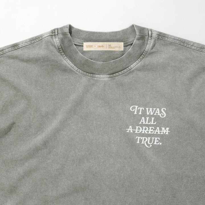 Dream Washed Oversized T-Shirt - Grey