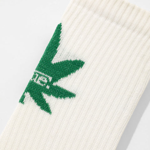 True X Herb Socks - Ivory