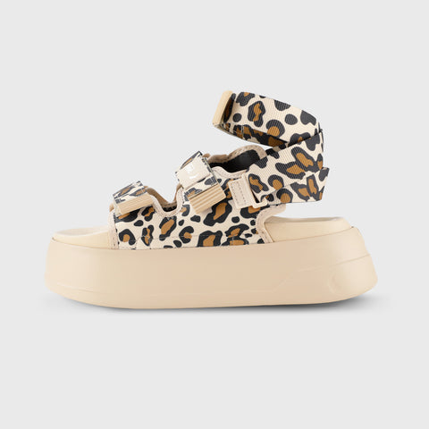 Rider NX Bold High - Leopard